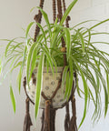 Vintage Macrame Plant Hanger: Large 1970s Boho Folk Art Decor