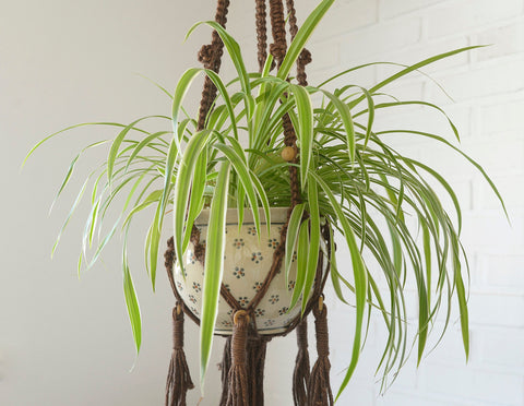 Vintage Macrame Plant Hanger: Large 1970s Boho Folk Art Decor