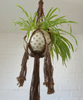 Vintage Macrame Plant Hanger: Large 1970s Boho Folk Art Decor
