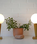 Vintage Wood Bedside Lamps, Handmade Glass Globe Desk Lamps, Yugoslavia 1960s (Pair)