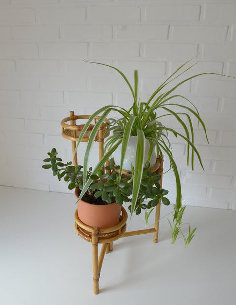 Vintage Bamboo Plant Stand Set, 1970s Boho Tiered Folding Stand