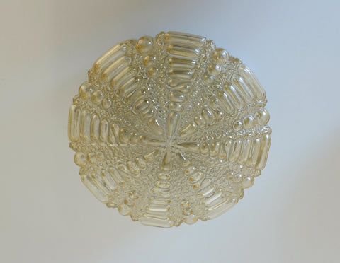 Pair of Wall Sconces / Vintage Ceiling Light / Flush Mount Fixtures 1970's